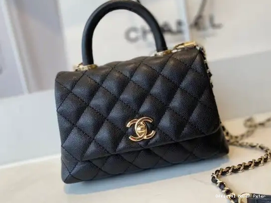 TOP BAG CHANEL FLAP MINI WITH HANDLE 0707